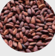 Cocoa
